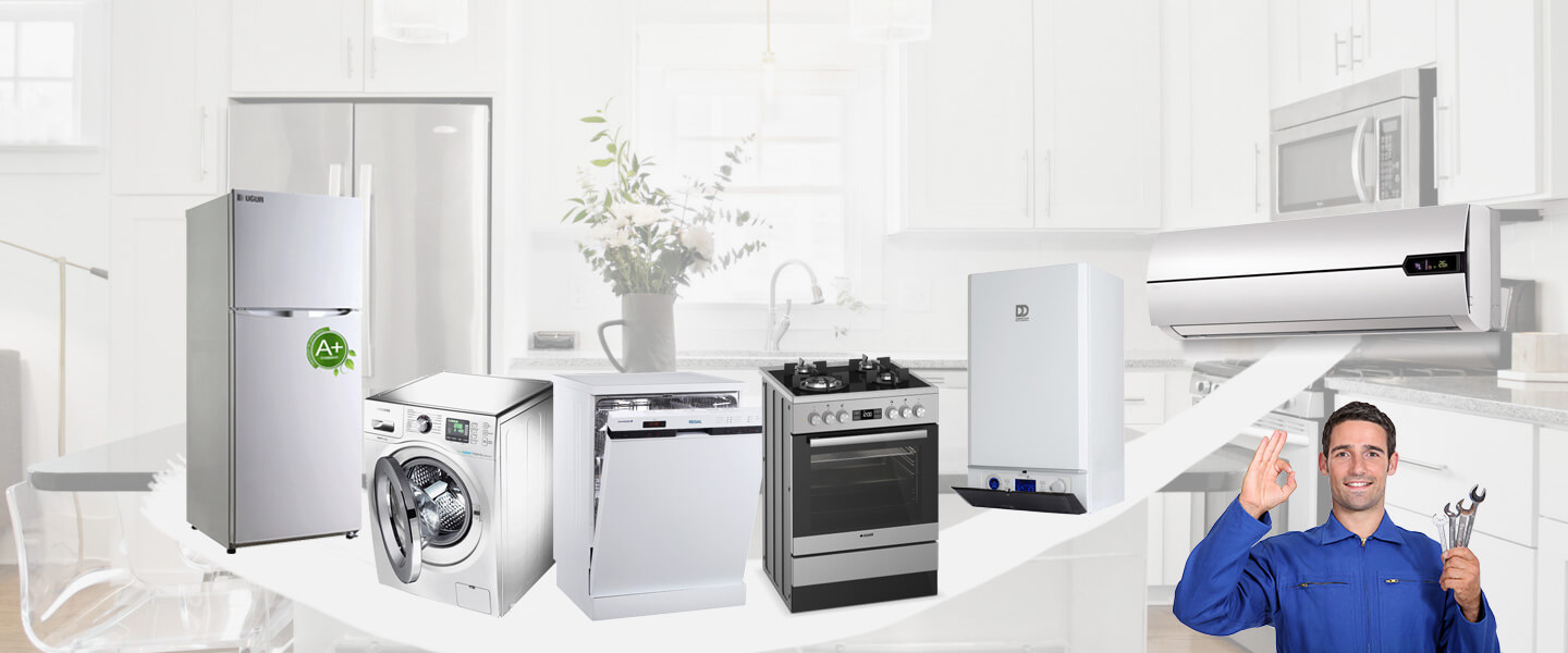 Söğüt Grundig Servisi